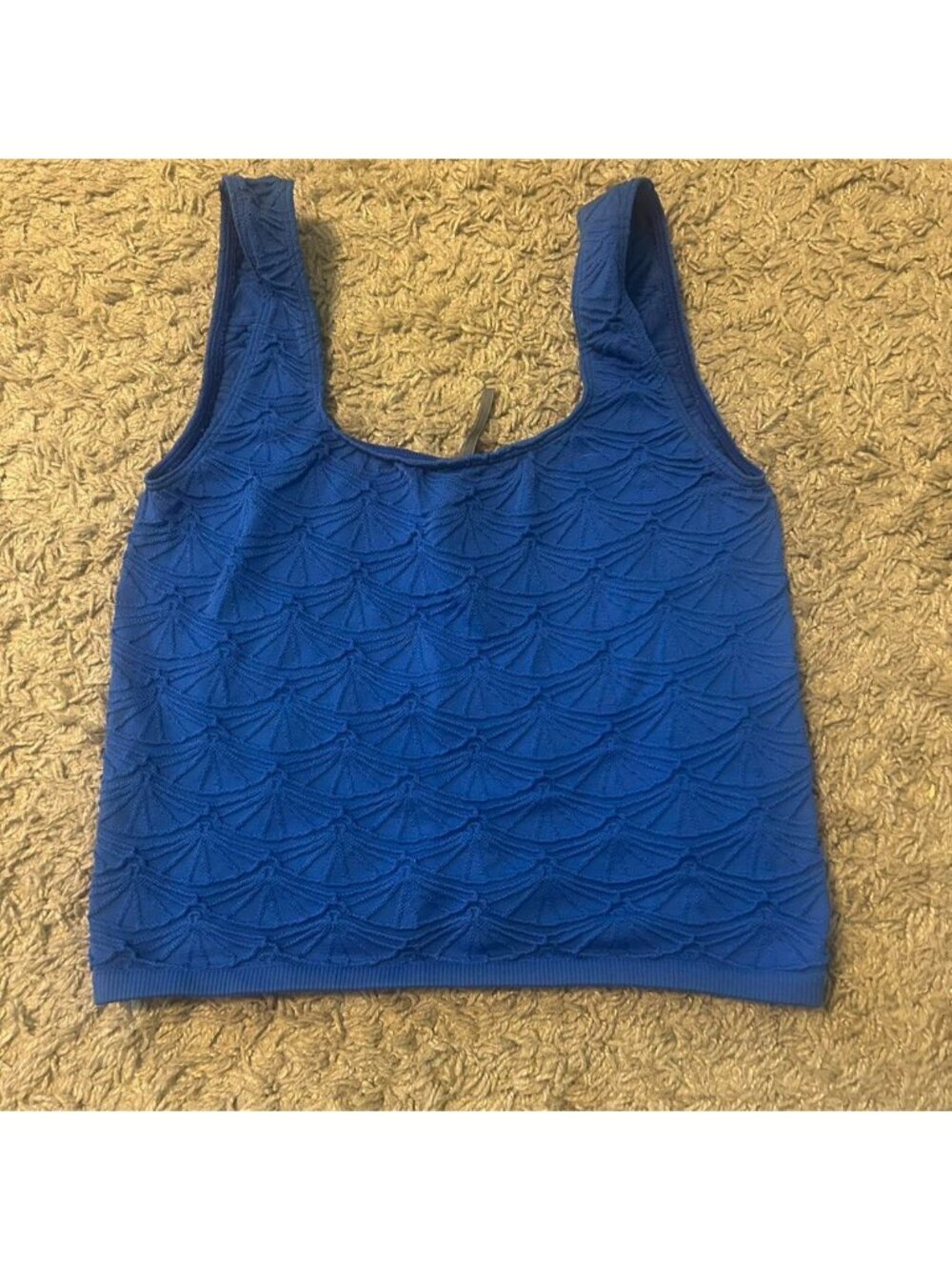 Blue Anthropologie tank top size small/medium #croptop #summer